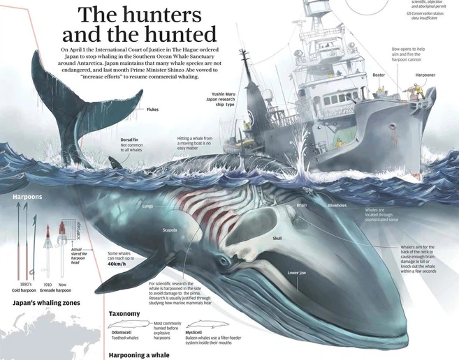 info-1280-1005 info-1280-1005