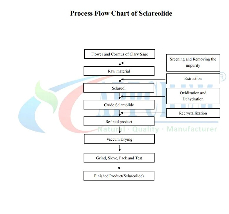 Process Flow Chart of sclareolide