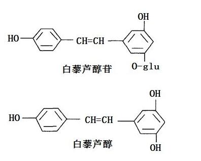 product-396-318