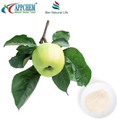 Phloretin Pó Natural
