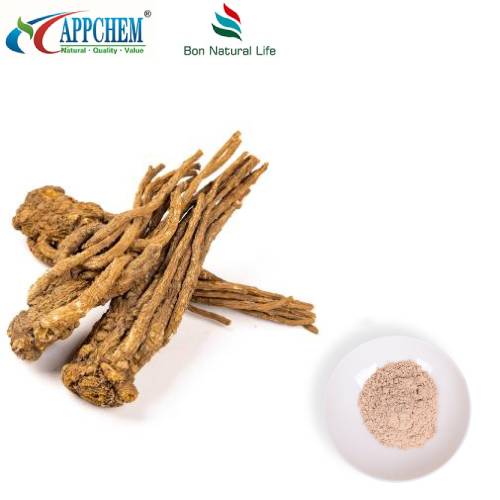 Extrato de Angélica Sinensis em Pó