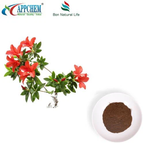 Extrato de Folha de Rodoendro Dahuriano