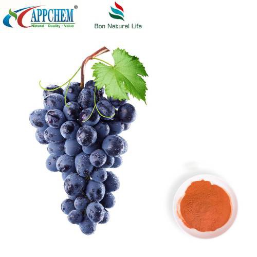 Extrato de Semente de Uva em Pó 95 Polifenóis