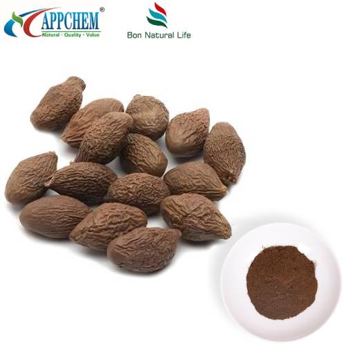 Extrato natural de sêmen Sterculiae Lychnophorae