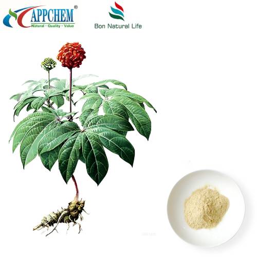 Notoginseng Radix Et Rhizoma Extract