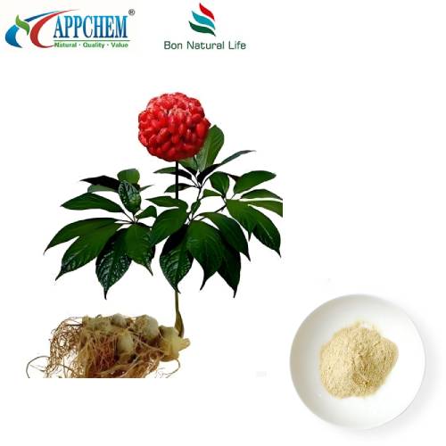 Extrato de Raiz de Notoginseng