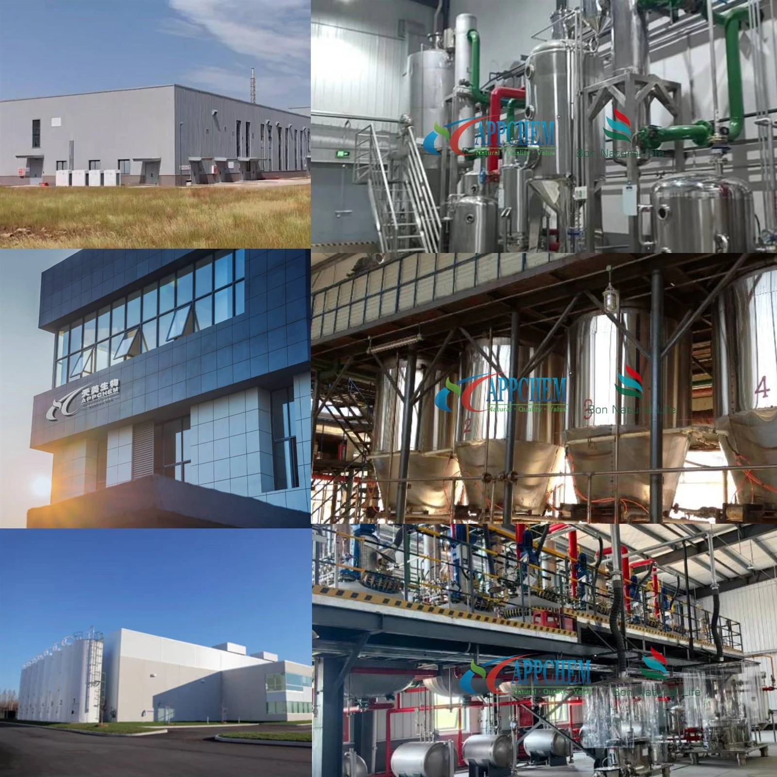 -2000-2000