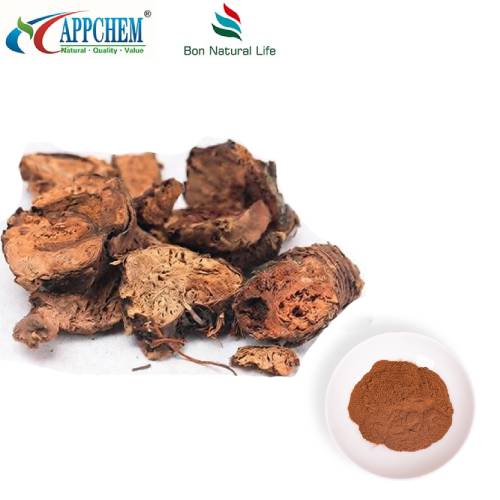 Pó de Extrato de Rhodiola Rosea