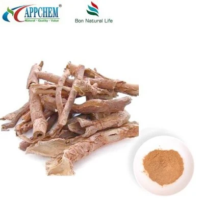Extrato de Acanthopanax Senticosus