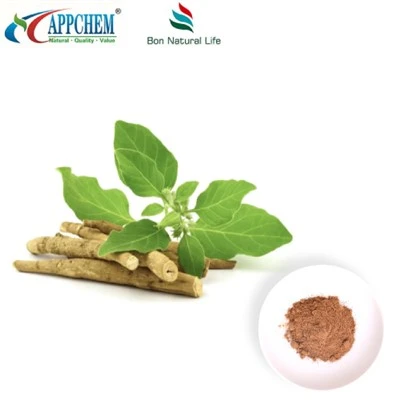 Ashwagandha Extract Powder (Withanolides) Fabricação 30655-48-2