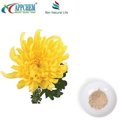 Flos Chrysanthemi Extrato em Pó