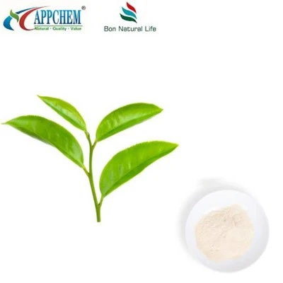Extrato de Chá Verde L-Teanina