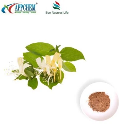 Pó de extrato de flor de madressilva