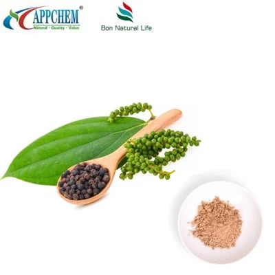 Pó de extrato de frutas Ligustrum