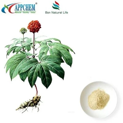 Notoginseng Radix Et Rhizoma Extract