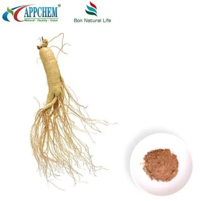 Pó de extrato de Panax Ginseng