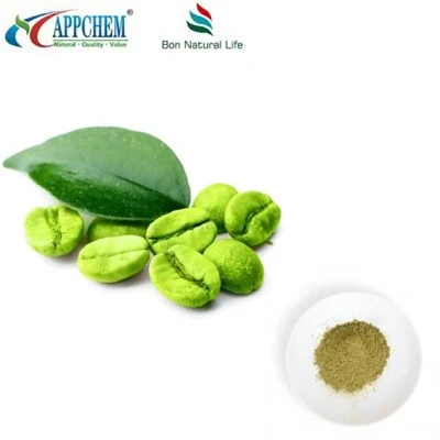 Pó de grão de café verde puro