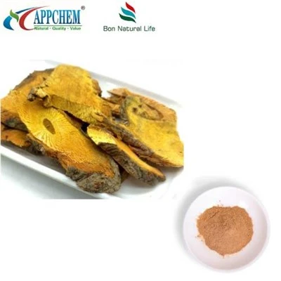 Resveratrol Polygonum Cuspidatum Extract Powder