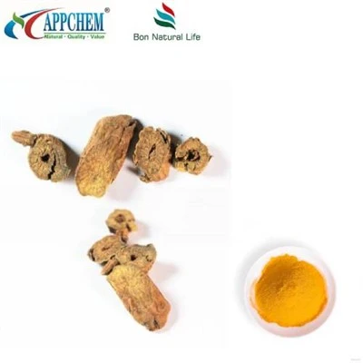 Extrato de Scutellaria Baicalensis