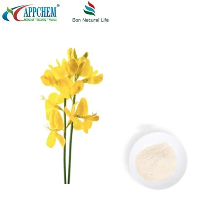 Thermopsis lanceolata r.br extrato; Cytisina HPLC98% em pó 485-35-8