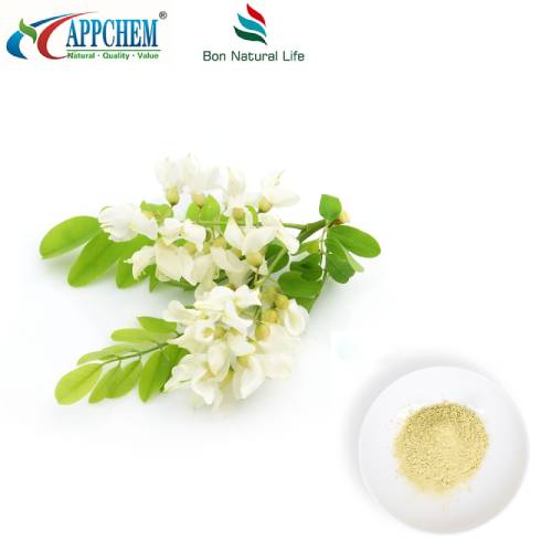 Extrato de Sophora Japonica